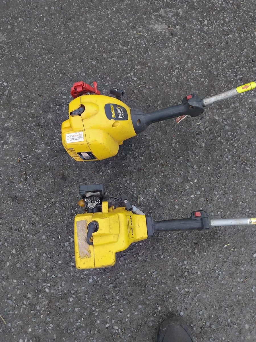 2 McCullough grass strummers read add - Image 3