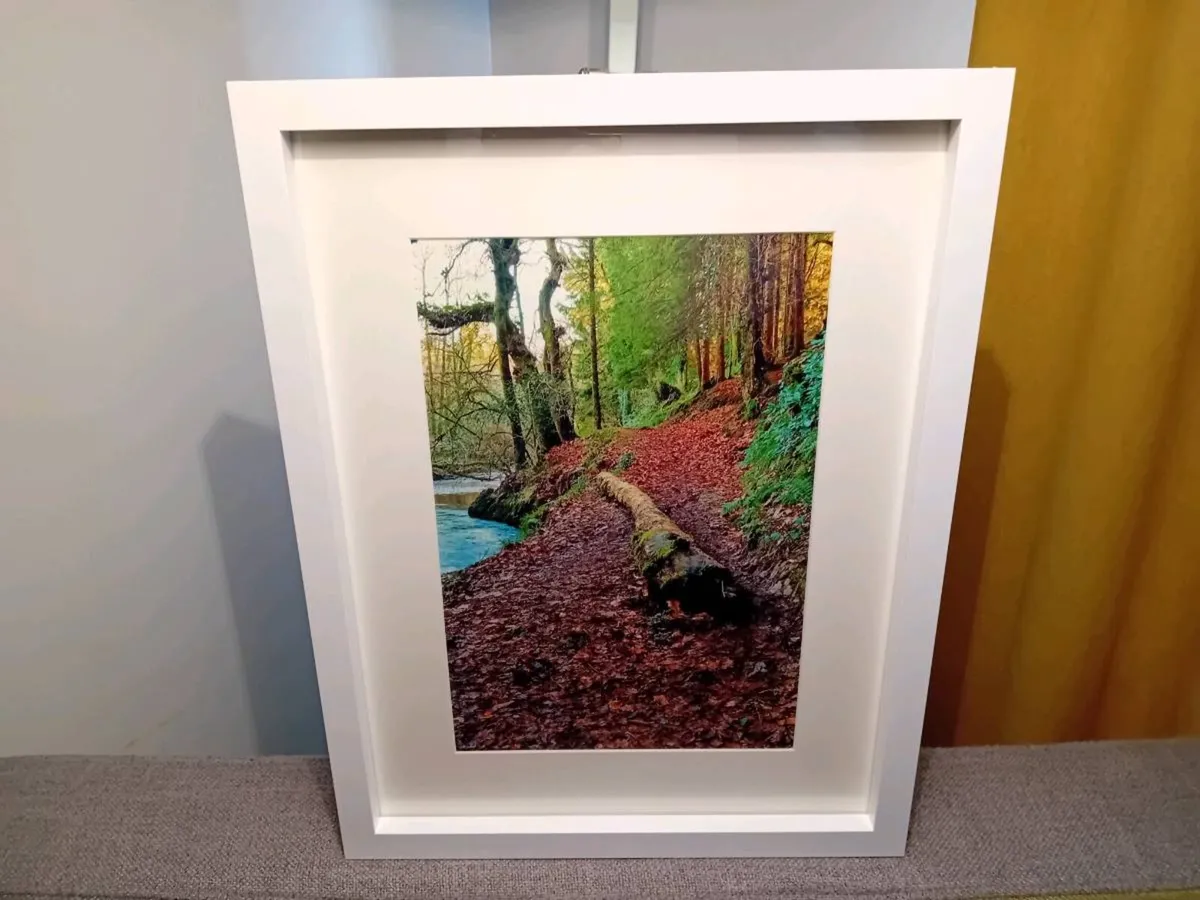 Glenbower Woods - Image 3