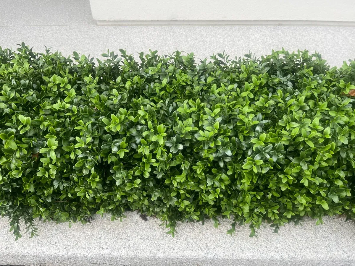 Artificial Boxwood Hedge - Image 3