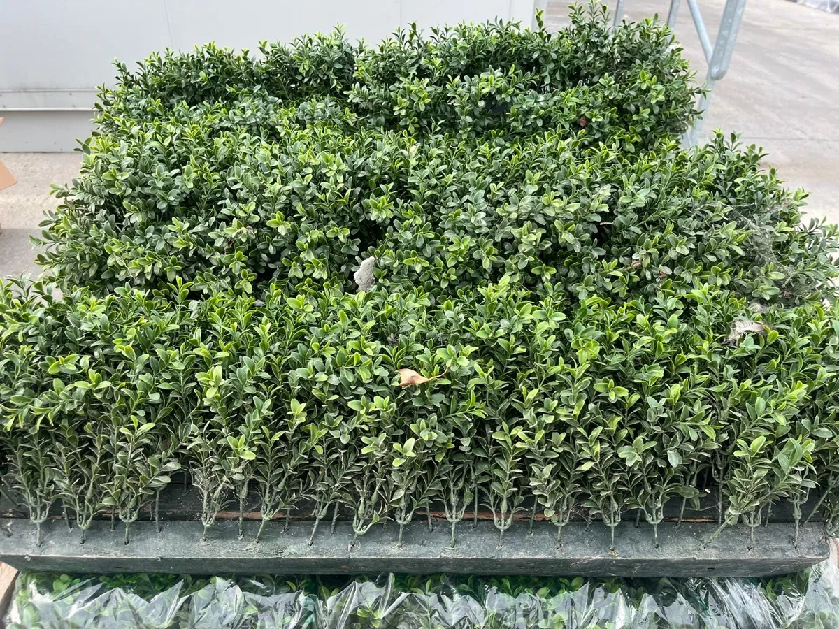 Artificial Boxwood Hedge - Image 4
