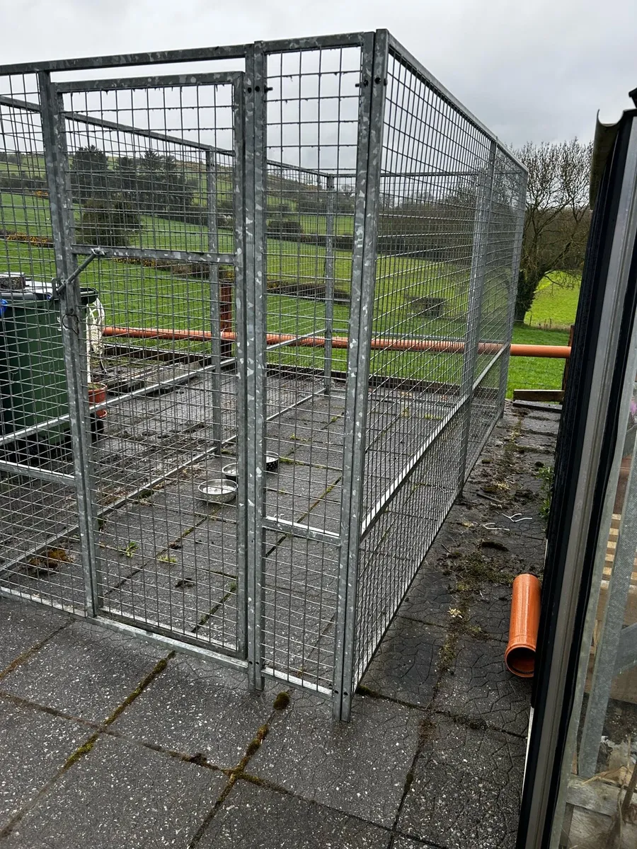 Dog Run - Image 3
