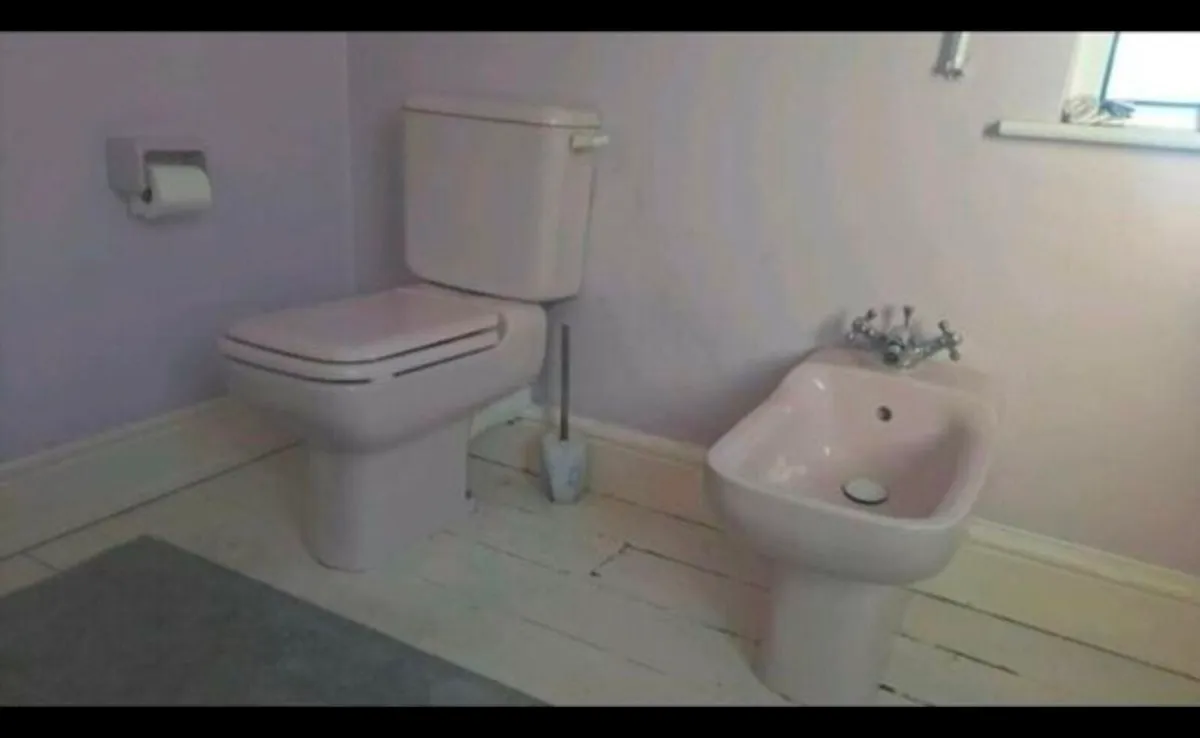 Retro pink Bathroom