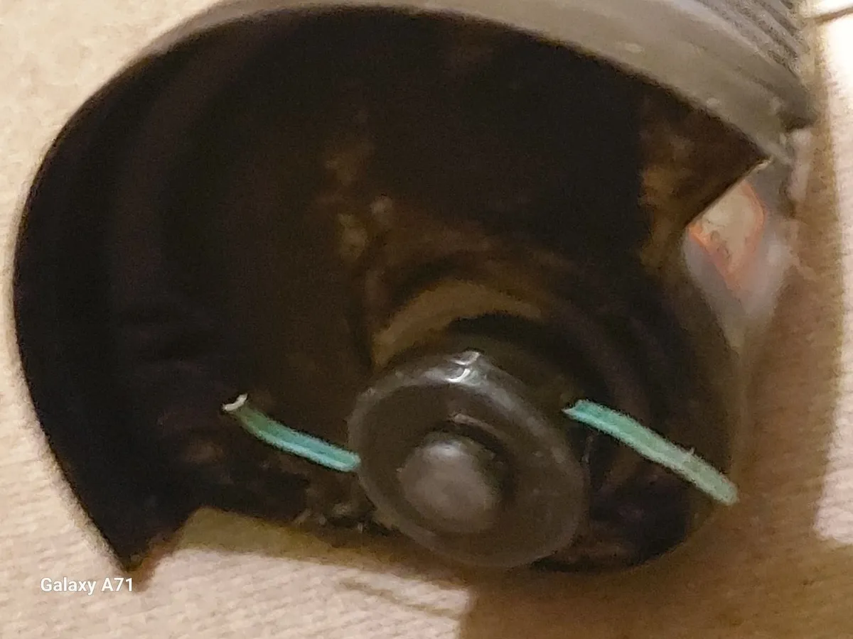 Xtreme Challenge Garden Strimmer, Excellent condit - Image 3