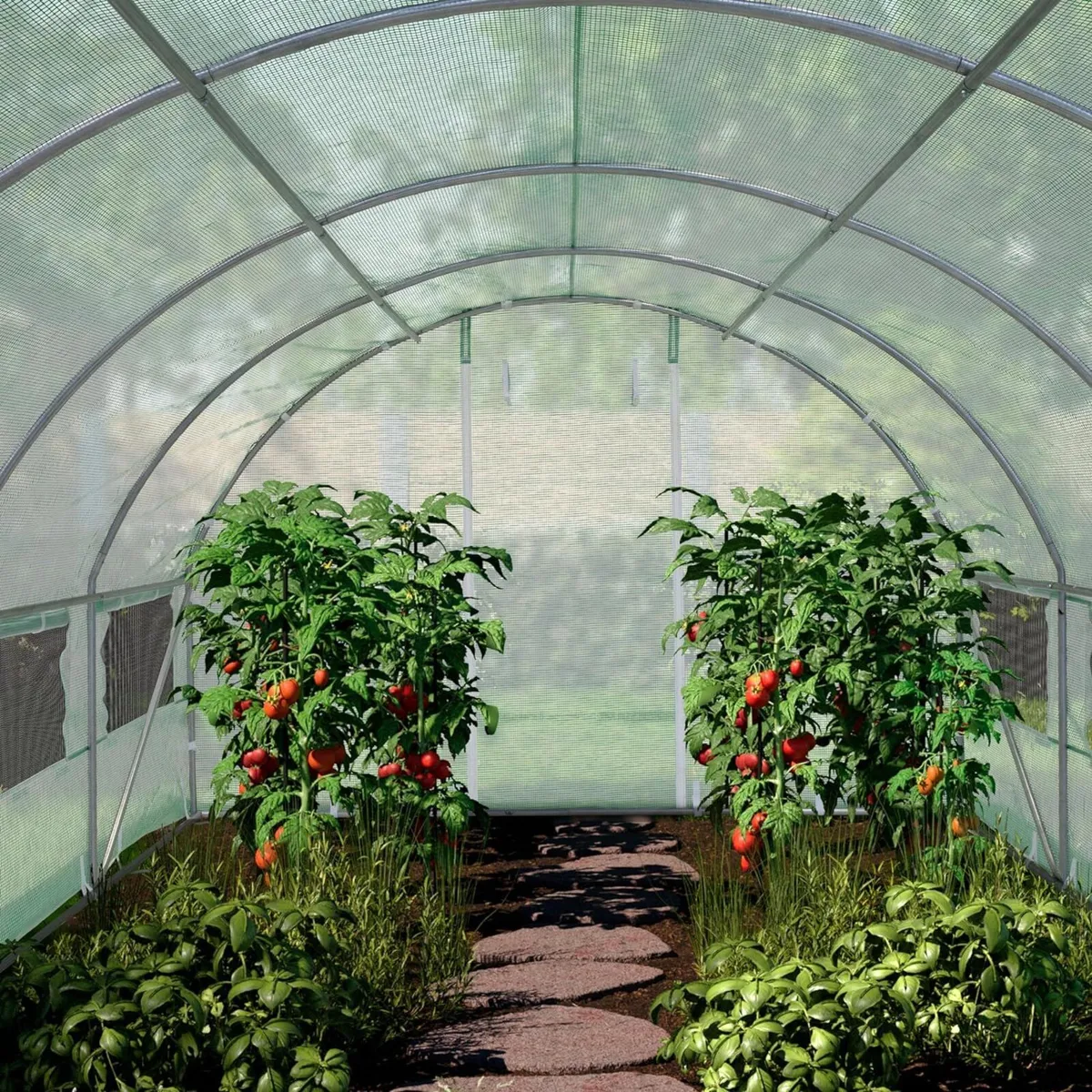 New Polytunnel 3m x 4m Free Delivery - Image 1