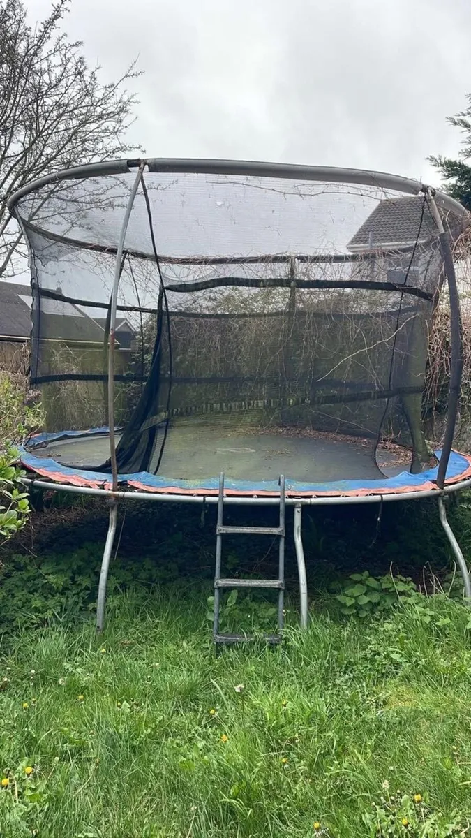 Trampoline