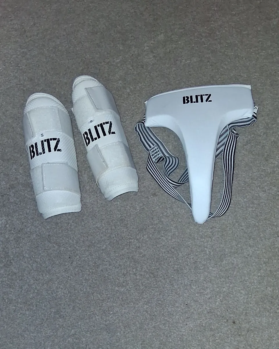 Taekwondo guards - Image 2