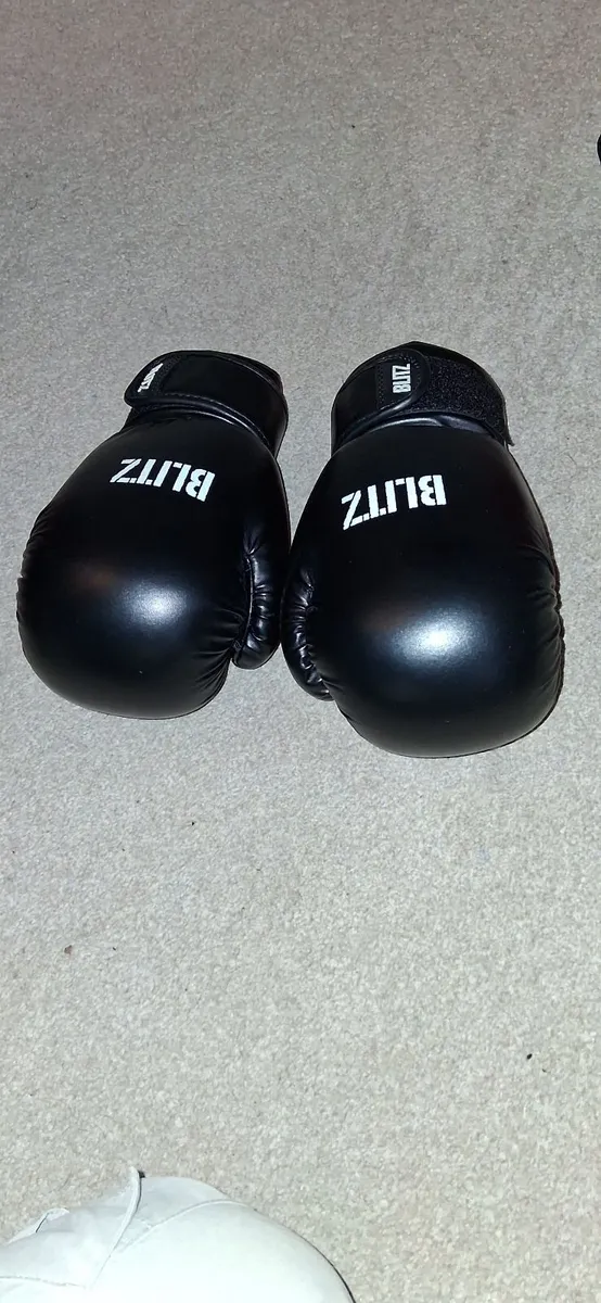 Taekwondo guards - Image 4