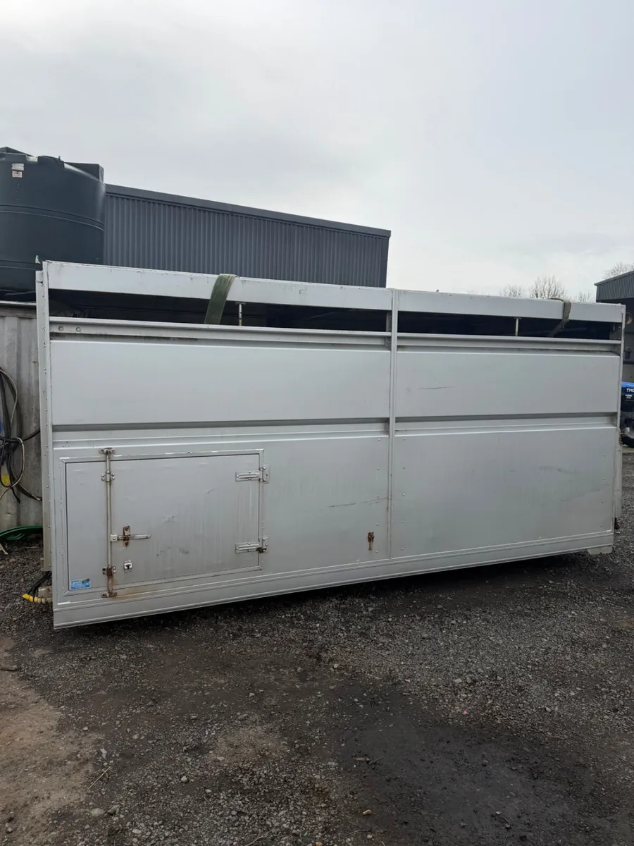 Houghton cattle body