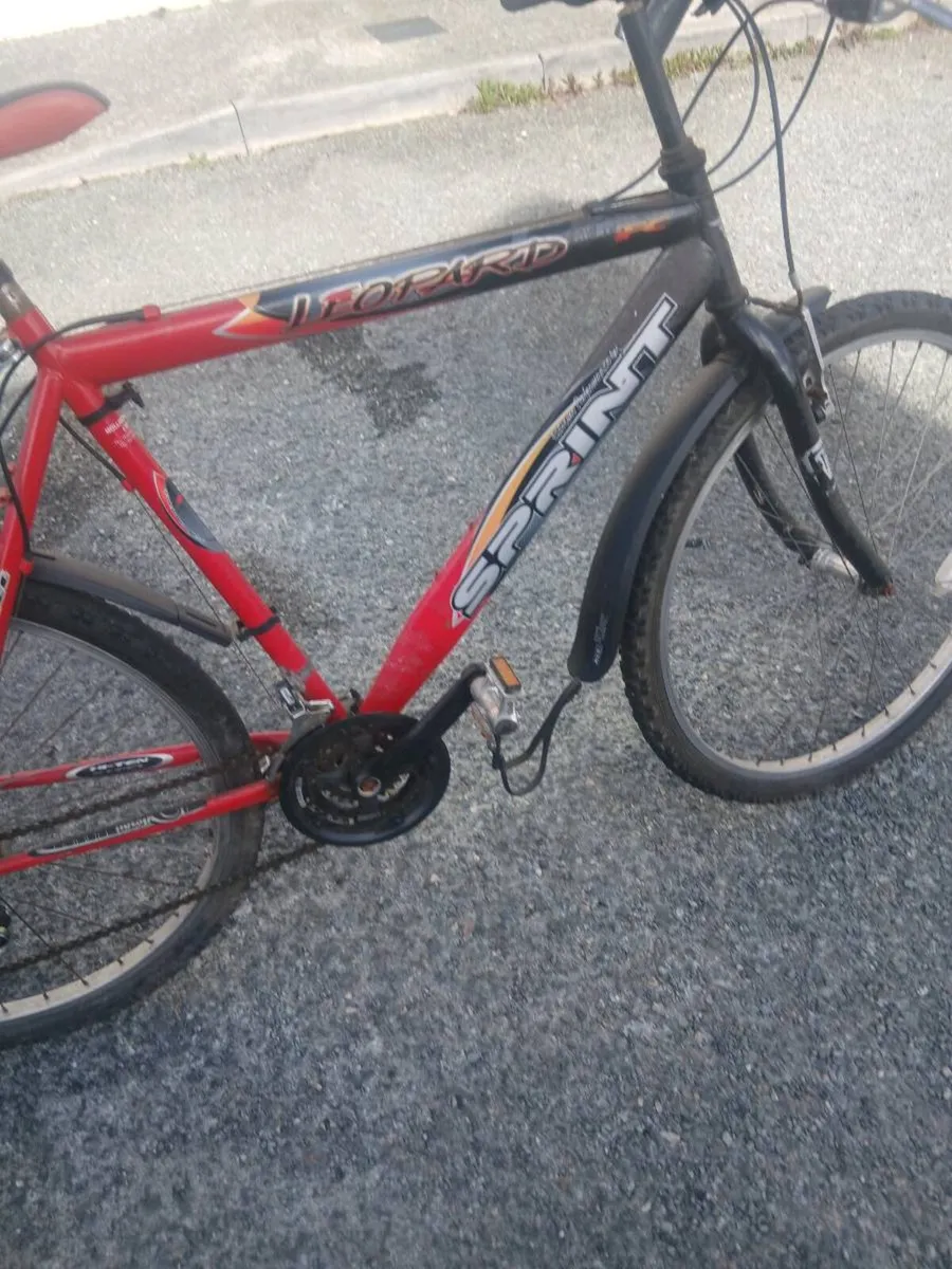 Bicycle for sale - Image 2