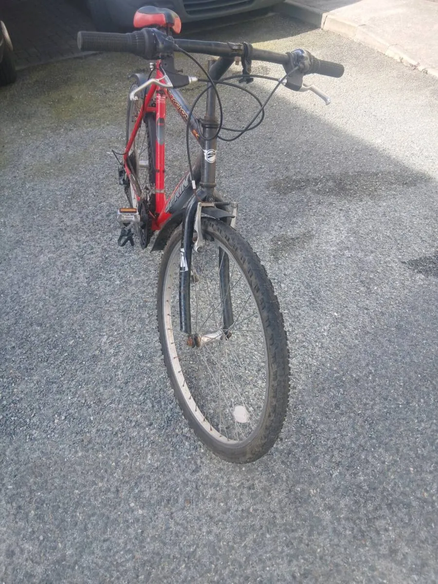 Bicycle for sale - Image 3