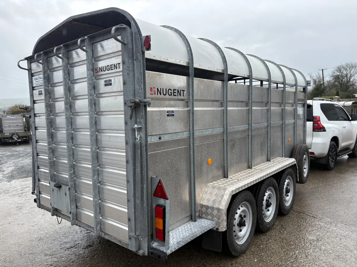 Nugent 14x6 Tri Axle Cattle Trailer - Image 2