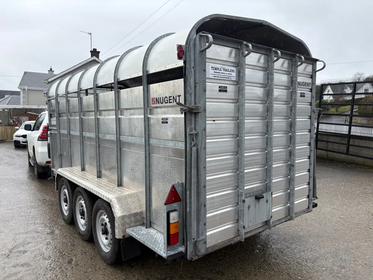 Nugent 14x6 Tri Axle Cattle Trailer - Image 4