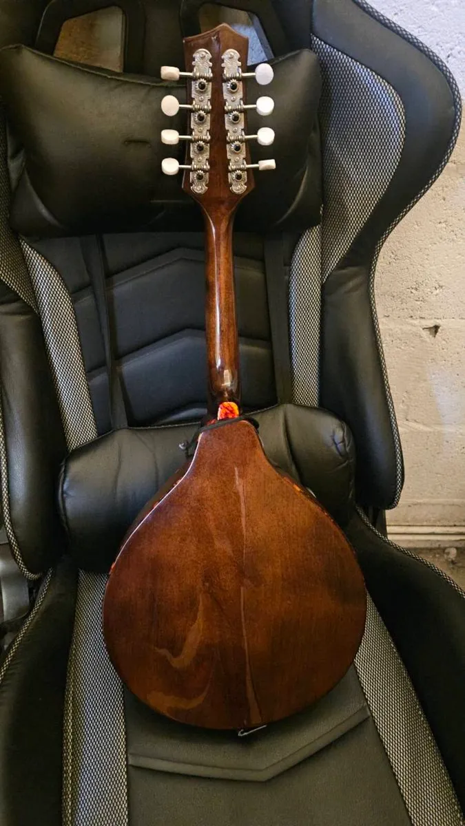 Mandolin - Image 3