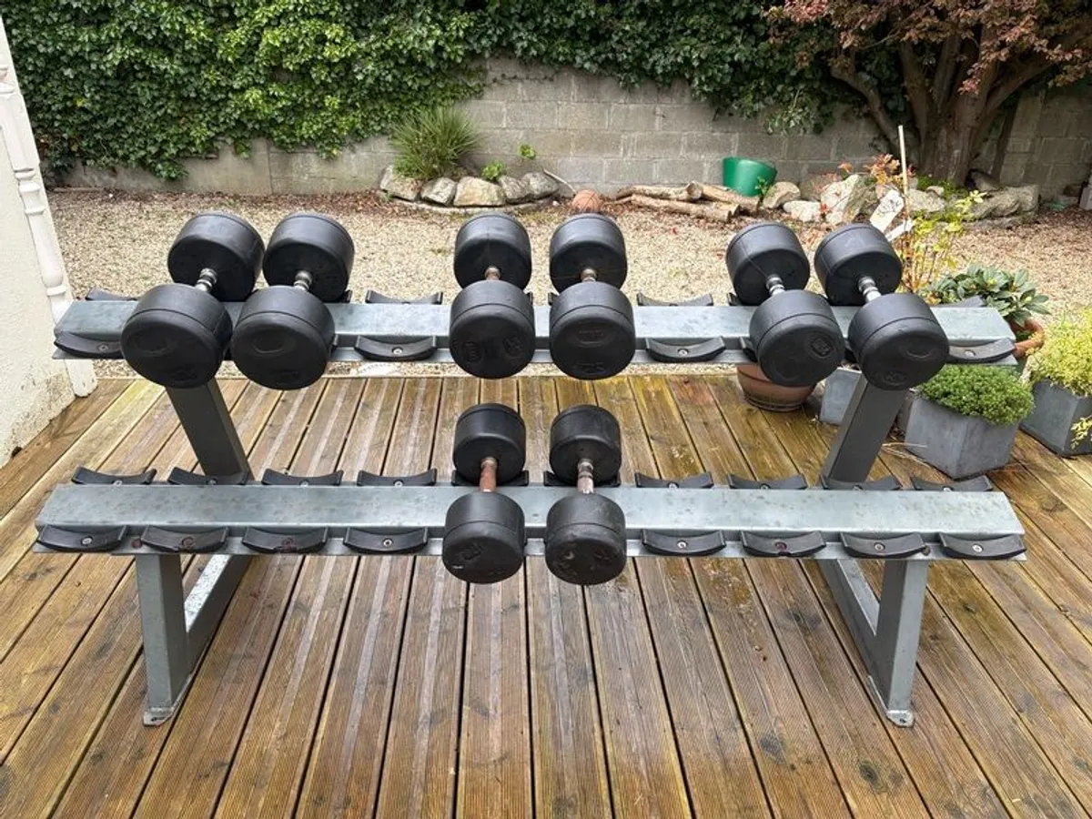 dumbell set - Image 1
