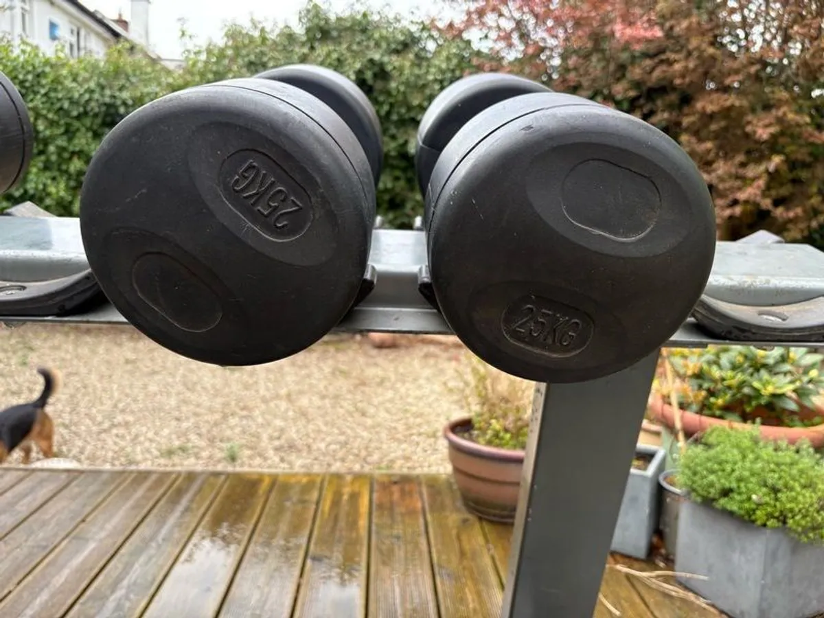 dumbell set - Image 2