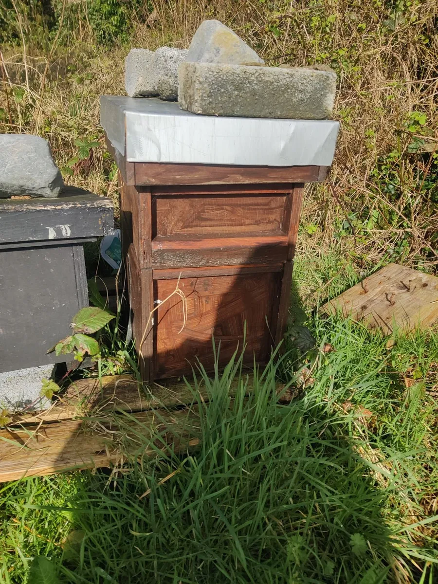 AMM Nuc For Sale - Image 2