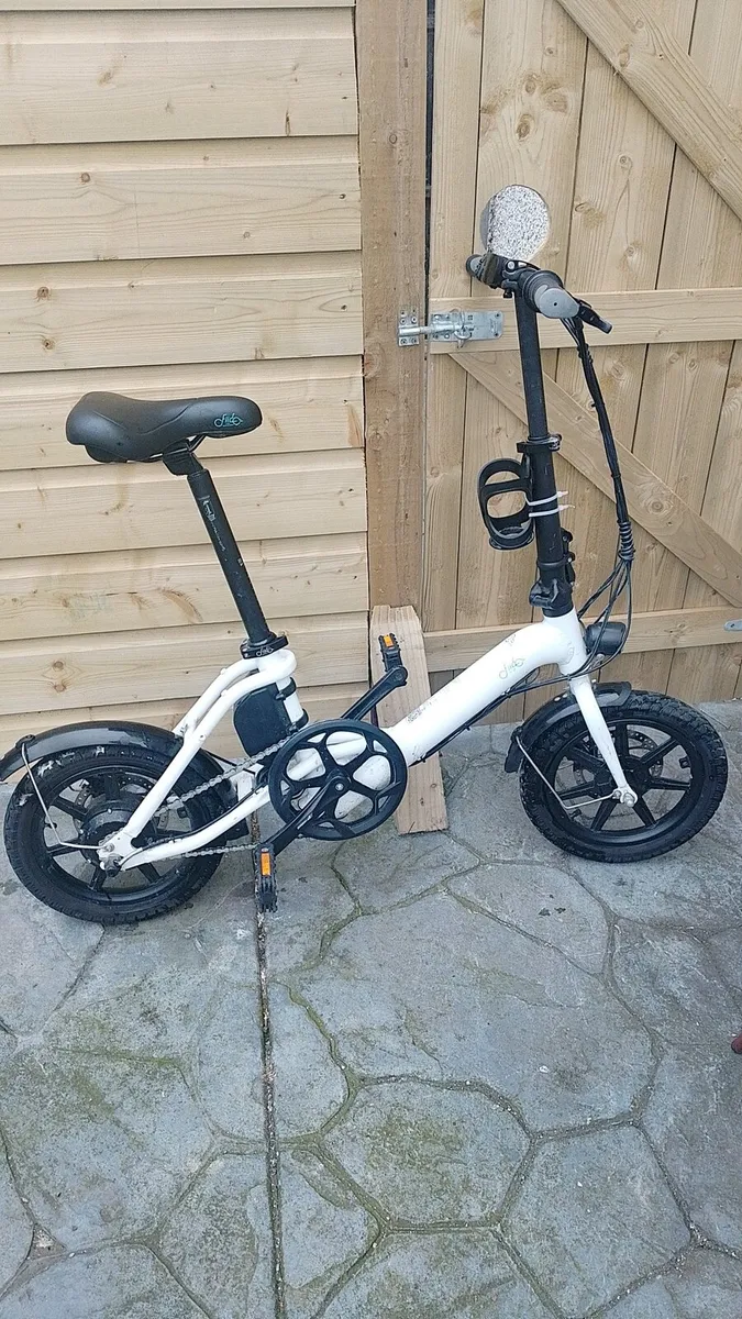 Fiido D3 Pro Electric Bike - Image 1