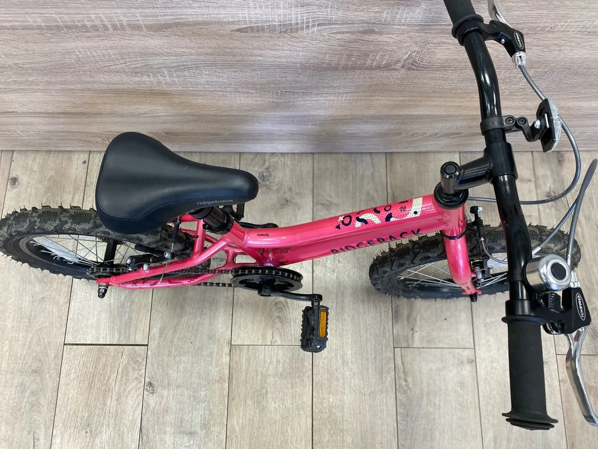 Ridgeback melody (like new) - Image 2