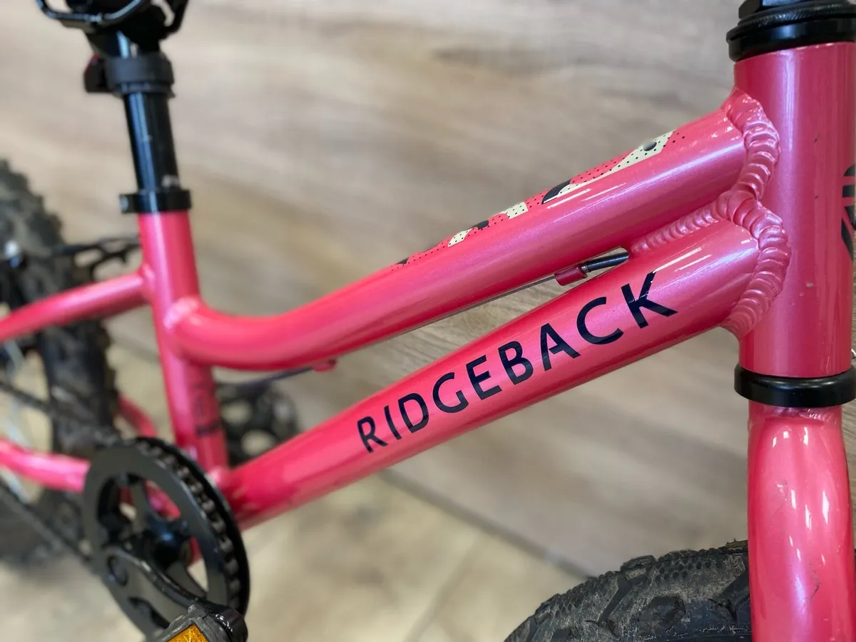 Ridgeback melody (like new) - Image 3