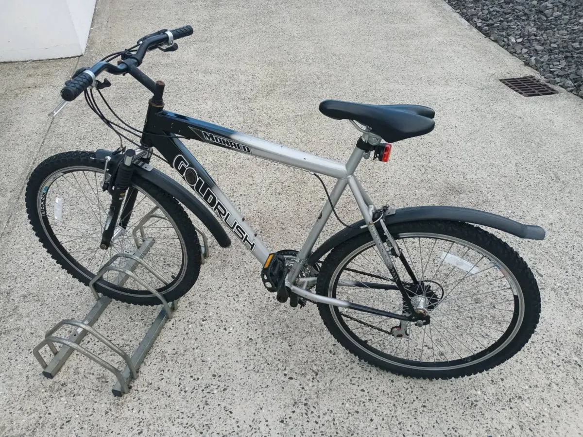 Adult mountain bike - Image 2