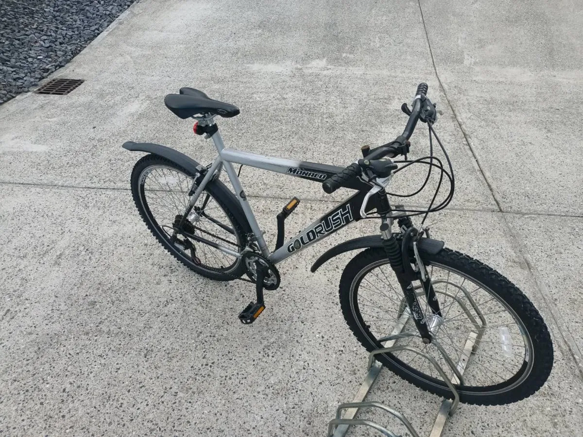 Adult mountain bike - Image 1