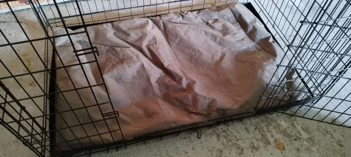 Large Dog Crate / Kennel - Image 2