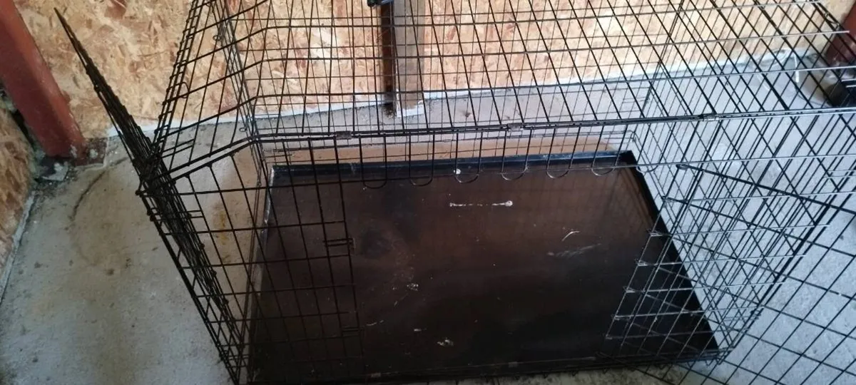 Large Dog Crate / Kennel - Image 3