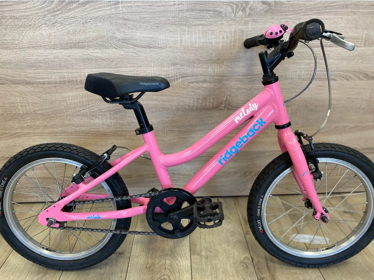 Ridgeback melody (like new) - Image 4