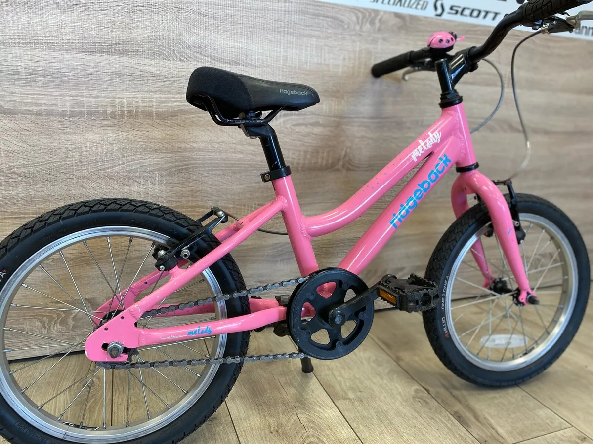 Ridgeback melody (like new) - Image 2