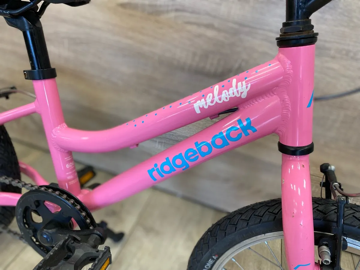 Ridgeback melody (like new) - Image 3