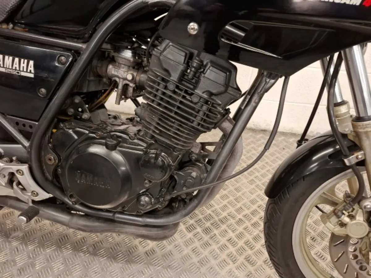 Easter Special Yamaha SXR 250 1985 - Image 4