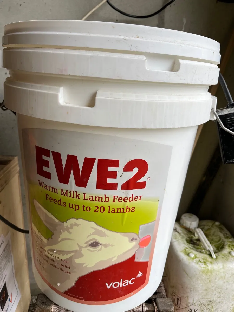 Lamb feeder - Image 1