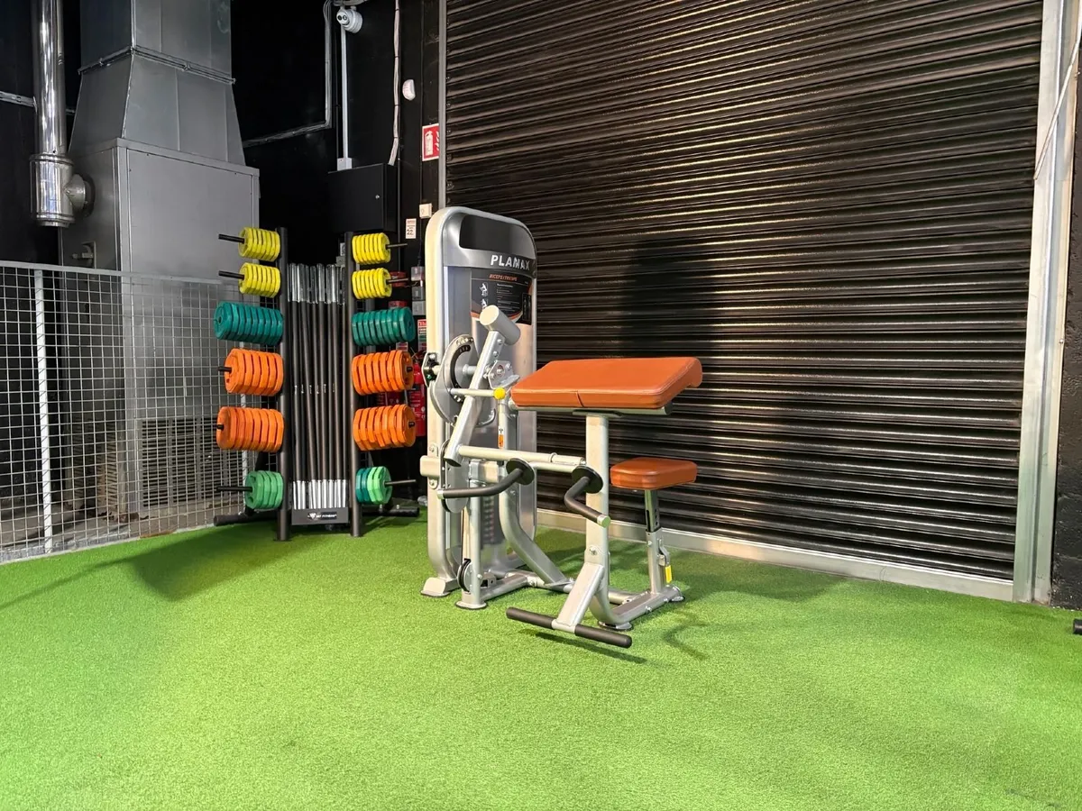 Impulse Fitness Biceps / Triceps Machine - Image 1