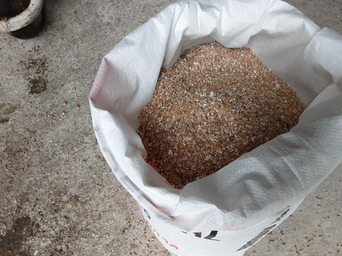 Poultry feed - Image 2