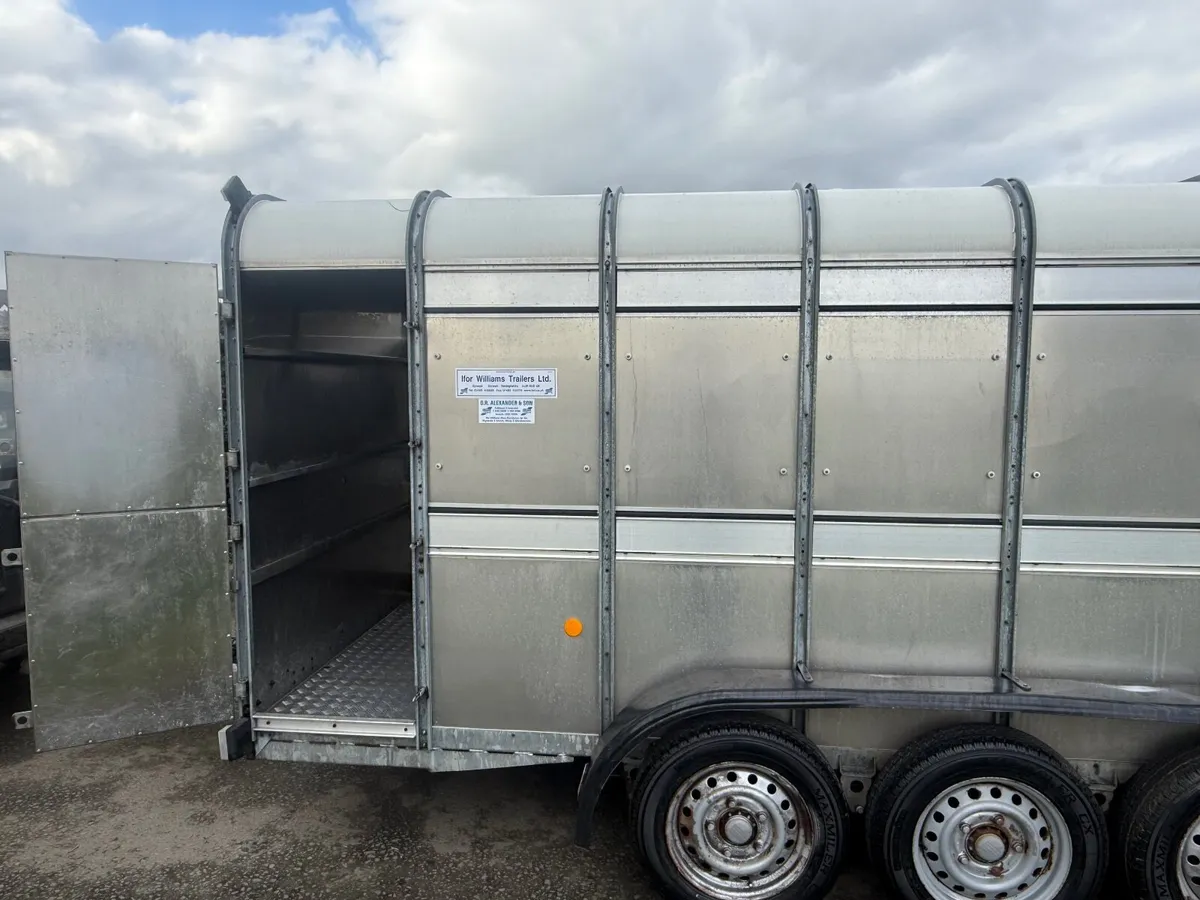 IFOR WILLIAMS TA510 Tri Axle Livestock Trailer - Image 3
