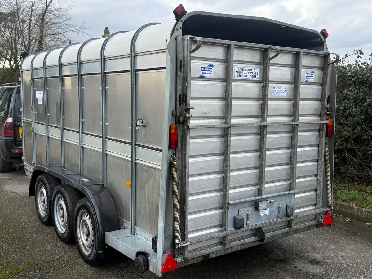 IFOR WILLIAMS TA510 Tri Axle Livestock Trailer - Image 4