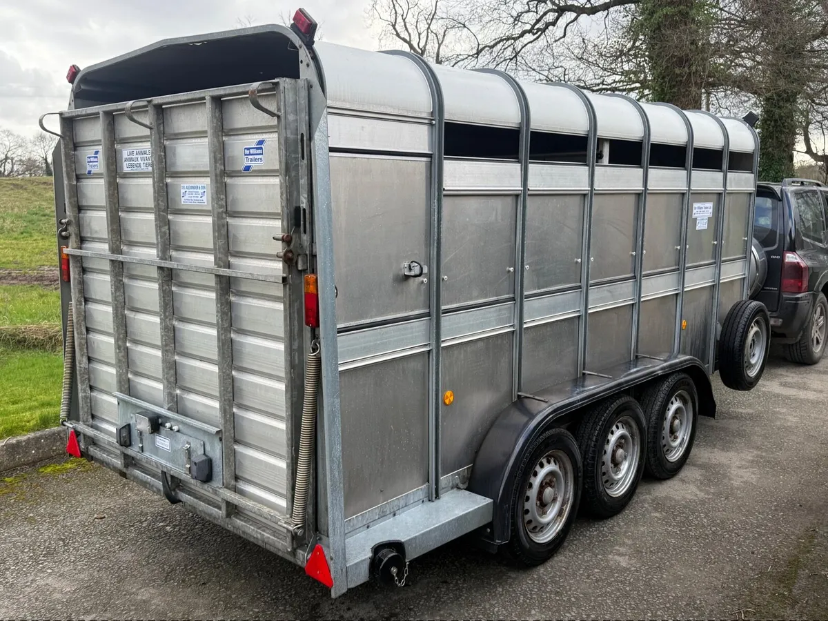 IFOR WILLIAMS TA510 Tri Axle Livestock Trailer - Image 1