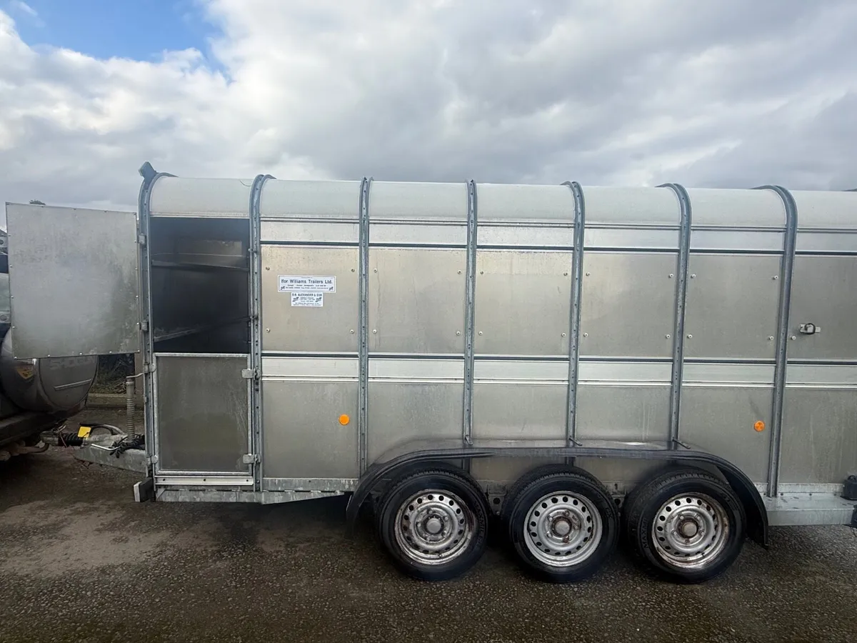 IFOR WILLIAMS TA510 Tri Axle Livestock Trailer - Image 2