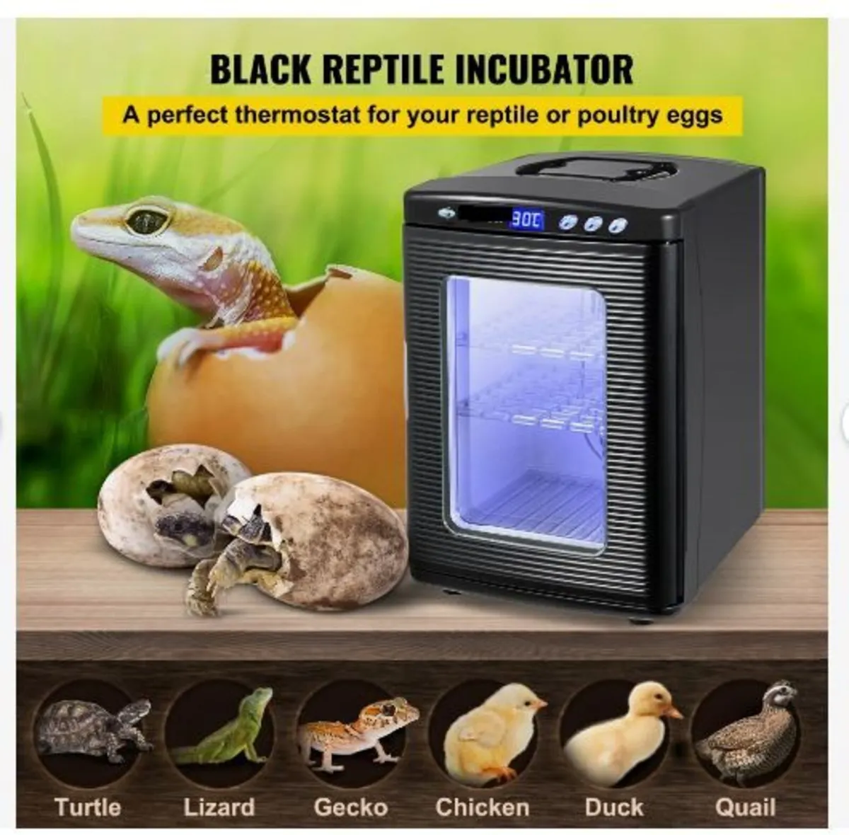 Black Reptile Incubator 25L Scientific Lab - Image 2