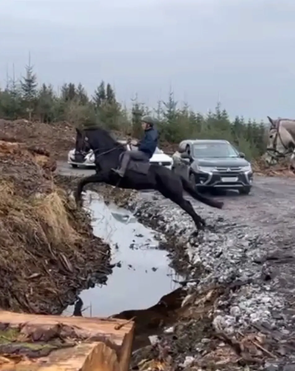 3 for sale see below - Image 2