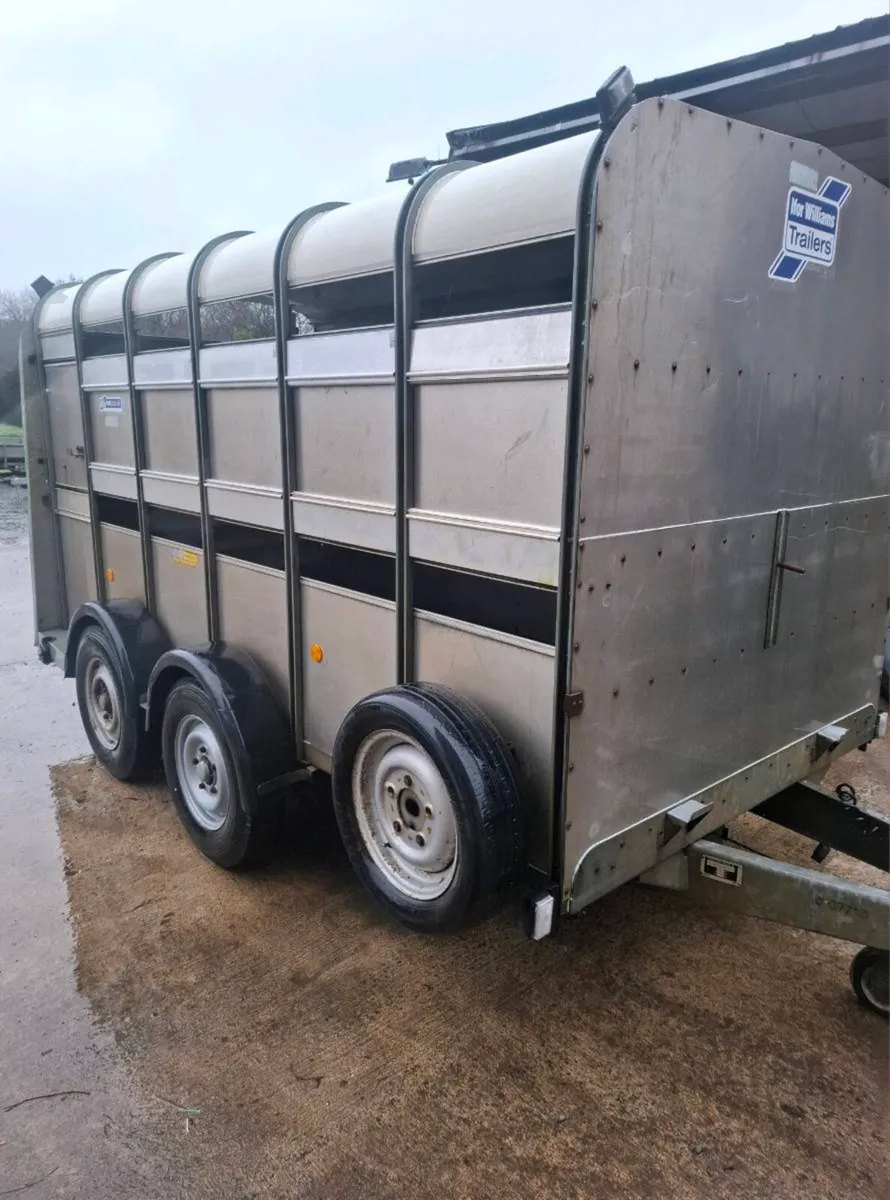 Sheep trailer fold up decks - Image 1
