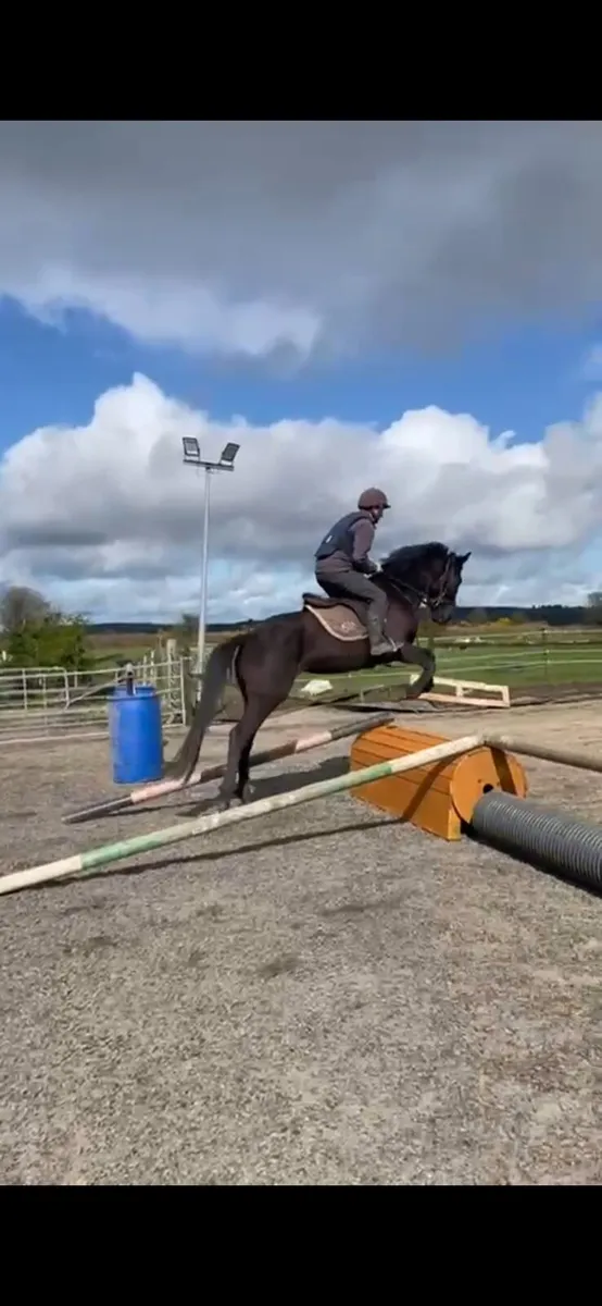 3 for sale see below - Image 1