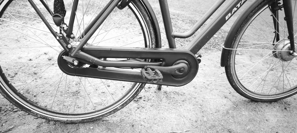 ebike batavus  power engine - Image 1