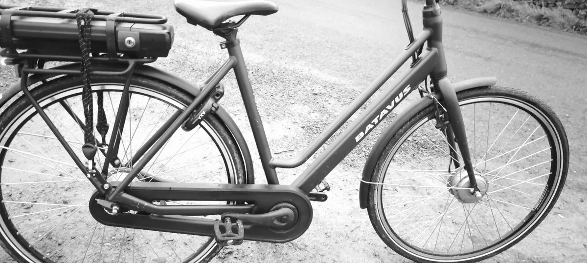 ebike batavus  power engine - Image 3