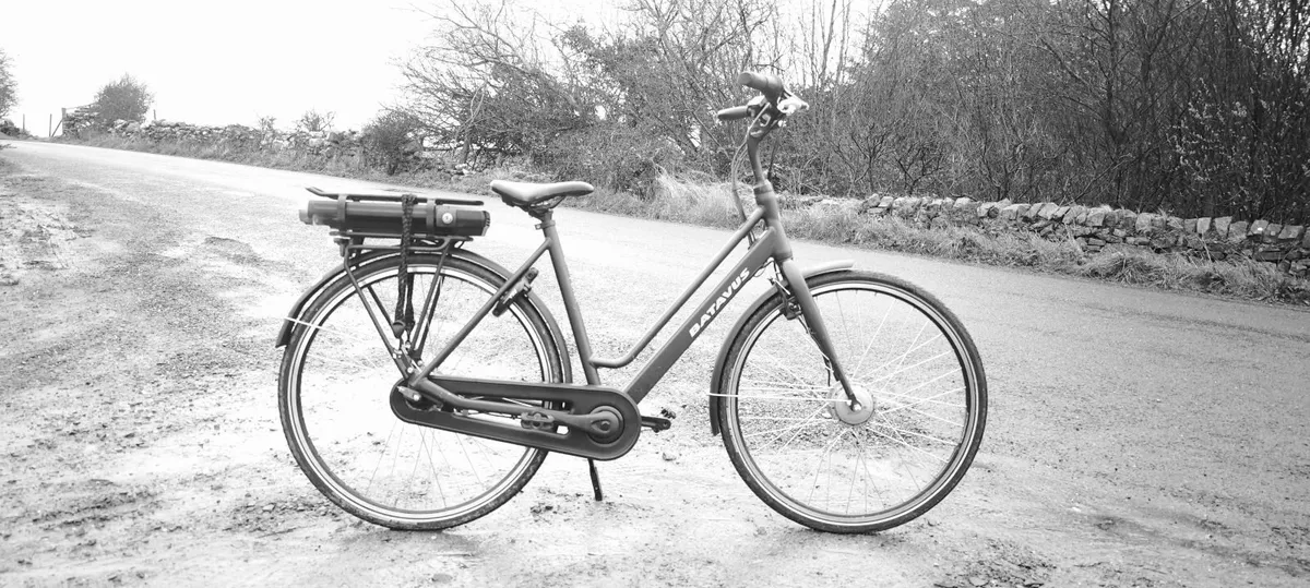 ebike batavus  power engine - Image 4