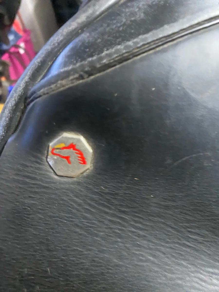 16.5-17” black Leather jump saddle - Image 4