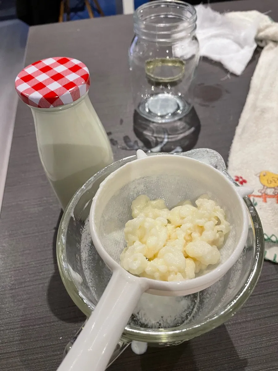 25g milk kefir grains