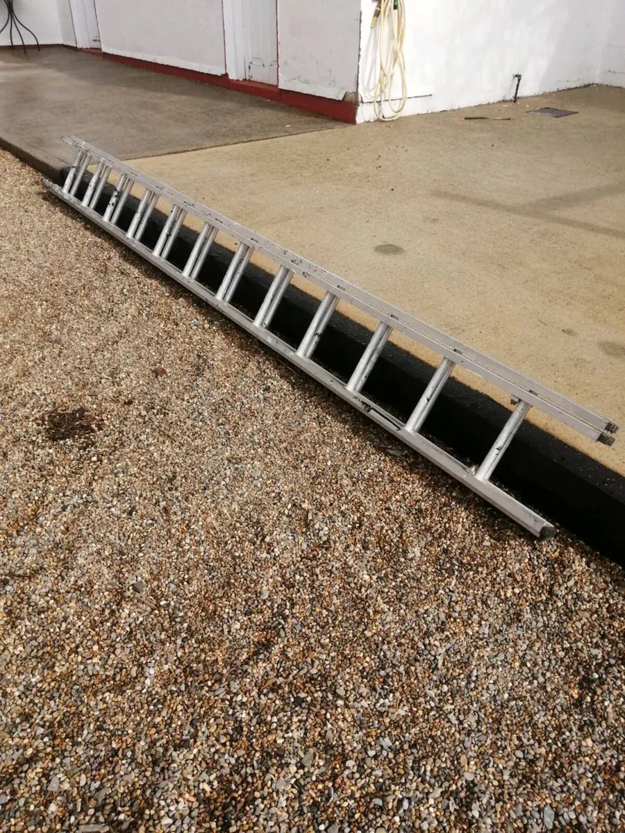 Extension ladder - Image 2