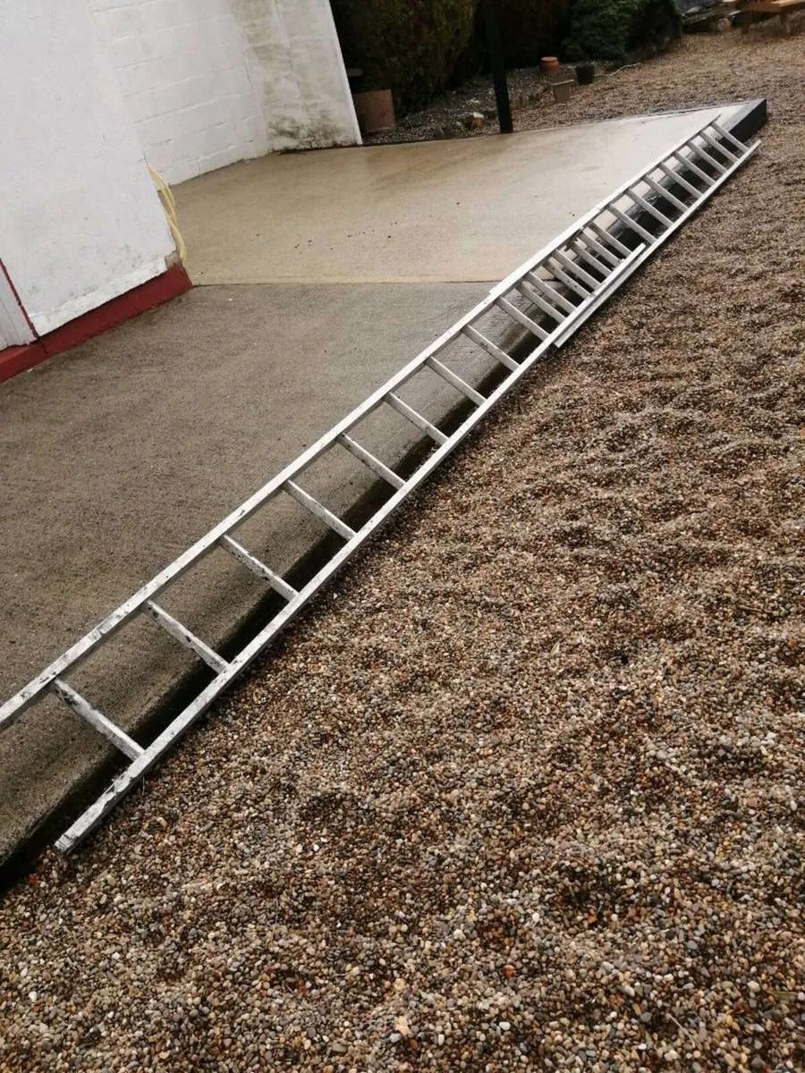 Extension ladder - Image 3