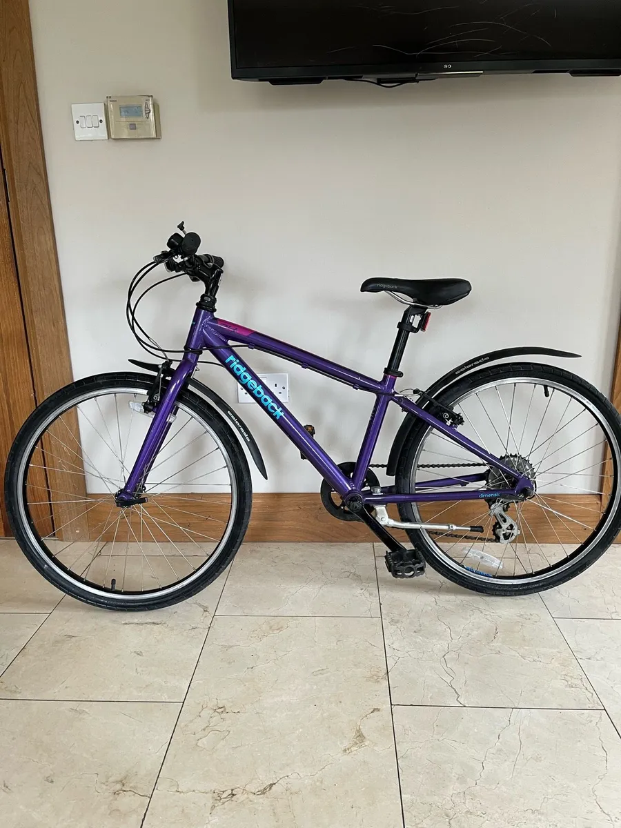 Girls Ridgeback 24 inch - Image 1